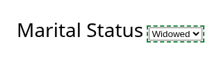 A Marital Status field on the form with a green dashed outline around the filled-in answer.